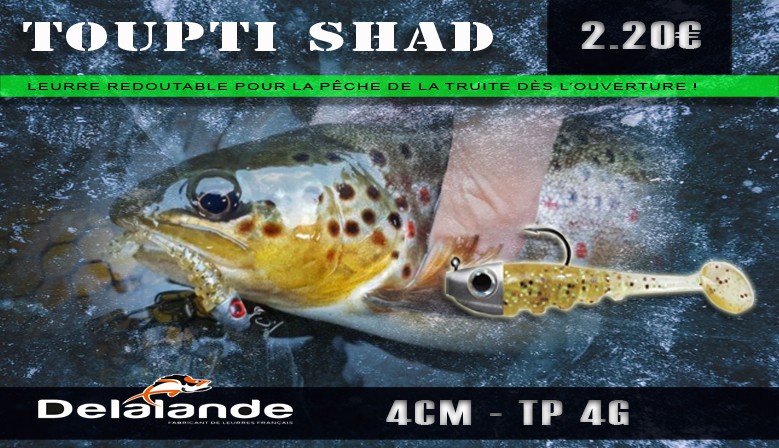 Leurre souple armé "Toupti Shad" 4cm TP 4g - Delalande